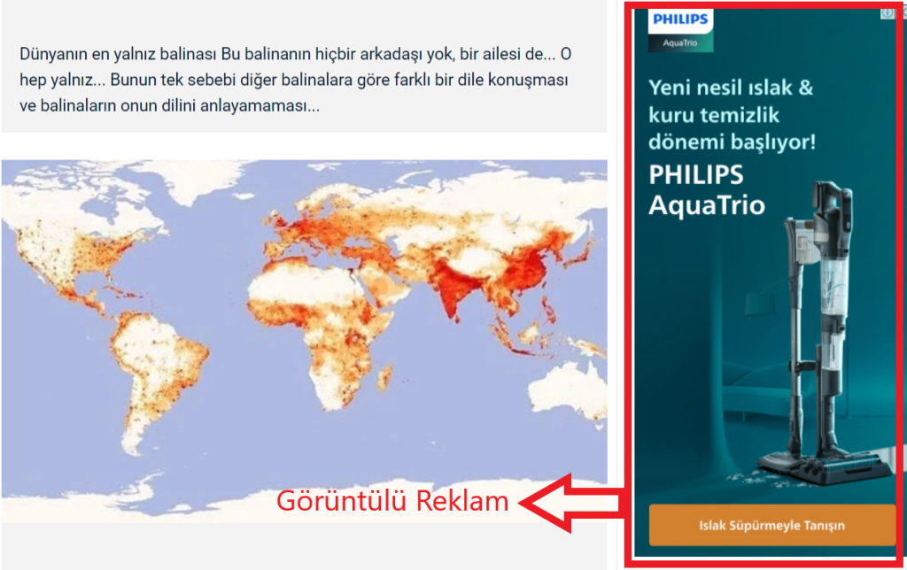 Google Görüntülü Reklam Ağı